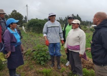 altopiano ecuador paramo