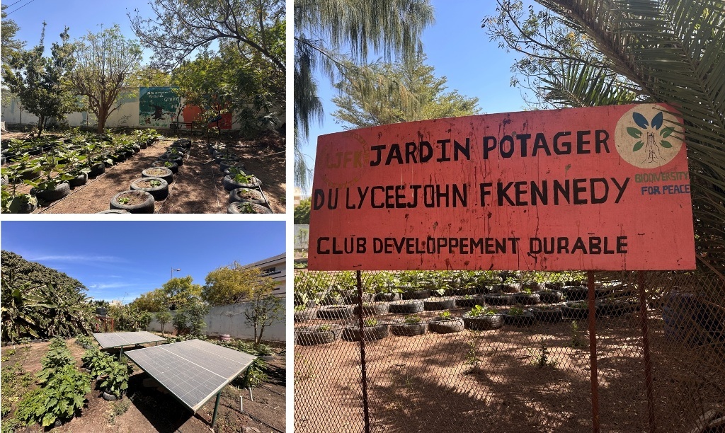 0199 atelier dakar jardin potager